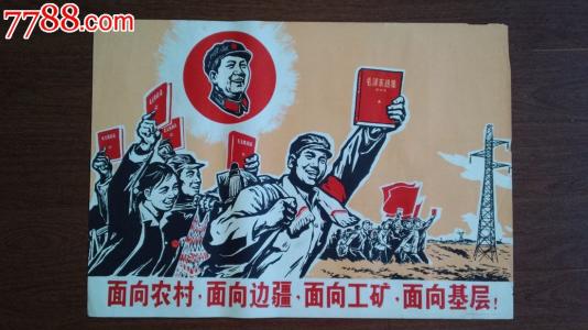 护考学历证书编号指的是什么